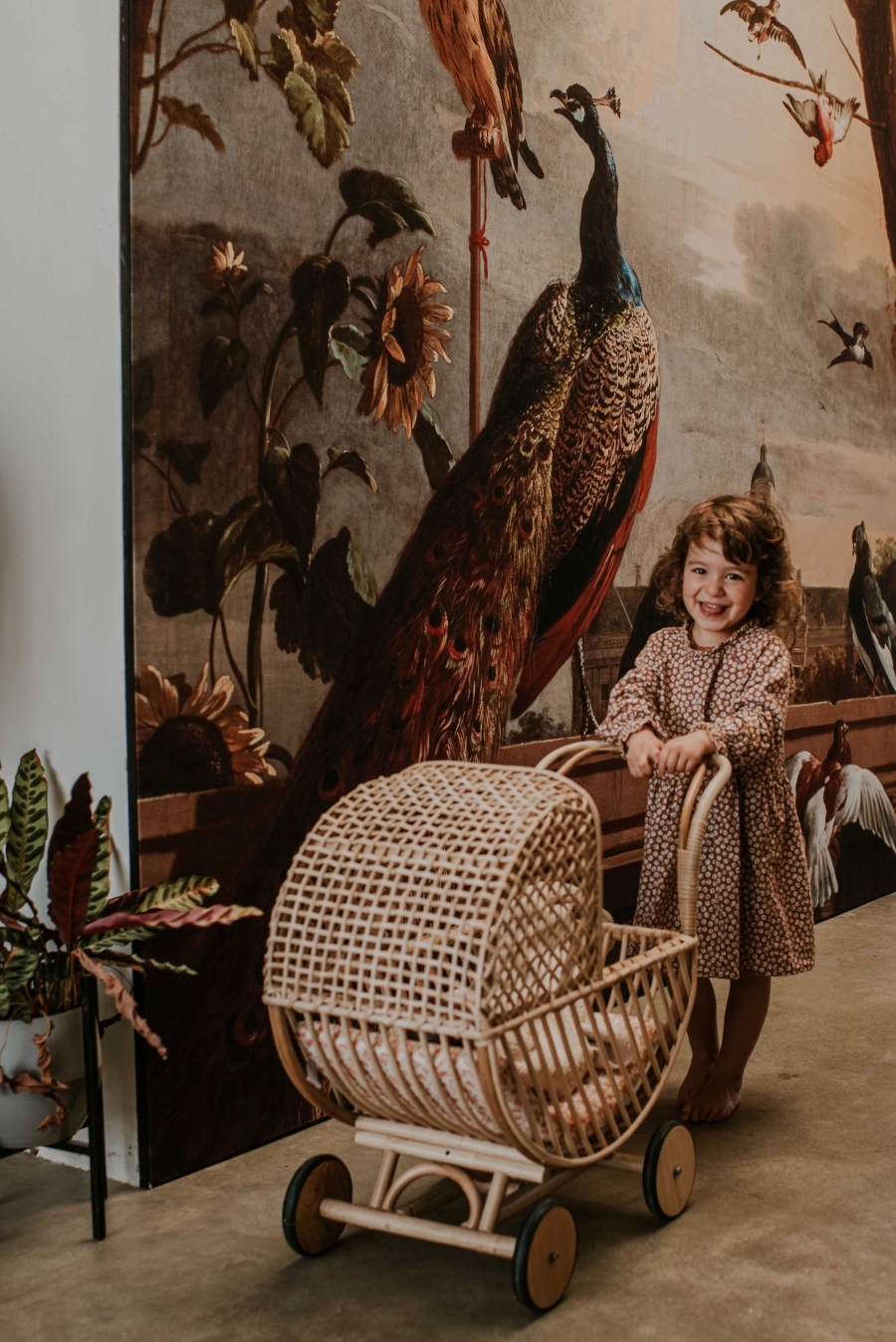 FIH Fotografie » Wildflower